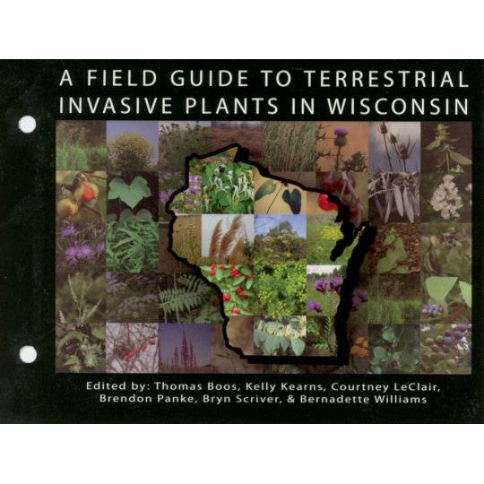 A Field Guide to Terrestrial Invasive Plants of Wisconsin | Good Oak ...